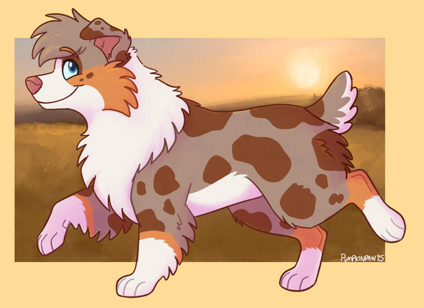 Denver_shep Denver_shep